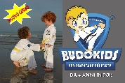 per i bambini i corsi Budokids