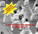 Iniziano le attività al dojang